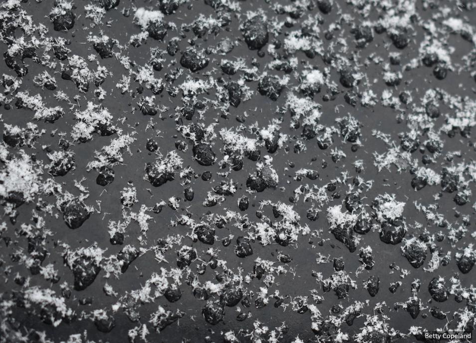 Frozen raindrops covered by snowflake crystals on top of a smooth, dark surface.