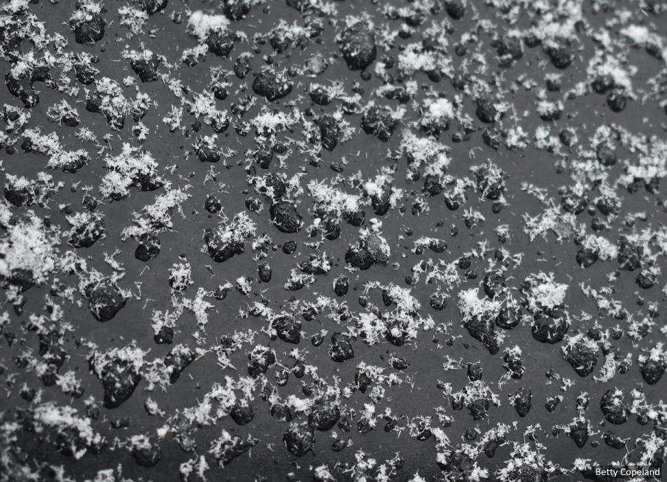 Frozen raindrops covered by snowflake crystals on top of a smooth, dark surface.