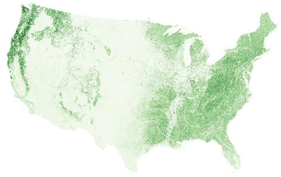This graphic shows canopy height data from ICESat-2. The darker the green, the higher the canopy. 