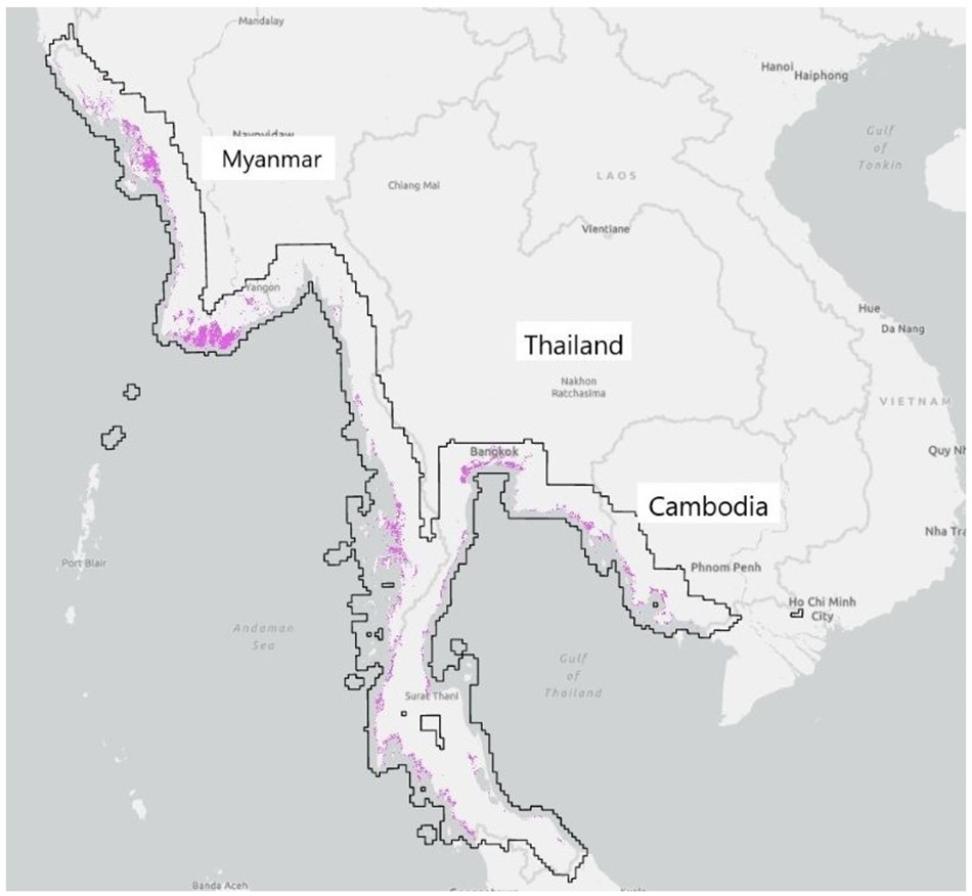 This map shows the regional extent of mangrove forest (magenta) on coasts of Myanmar, Thailand, and Cambodia for the period of 1972-1977. 
