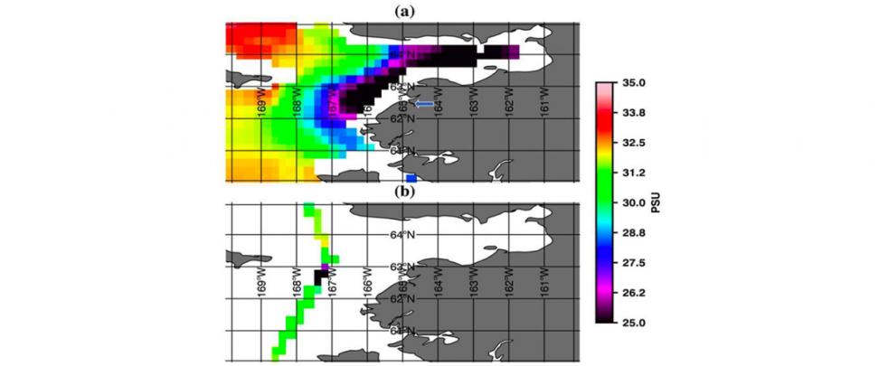Yukon–Kuskokwim Delta off Alaska  (a) mean sea surface salinity derived from NASA’s Soil Moisture Active Passive Mission from April to October 2019.  and (b) sea surface salinity derived from Saildrone along the deployment track. The salinity derived from Saildrone along the deployment track clearly shows the ocean waters freshening as it nears the Delta. White colors are indicative of missing data.