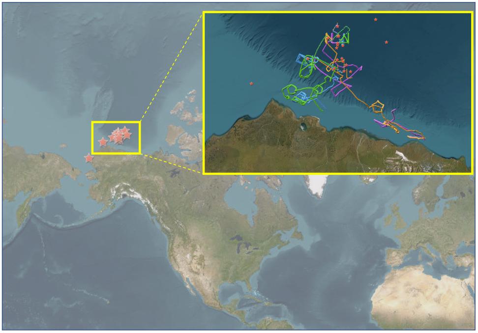 Trajectories of wave gliders and locations of the R/V Wolstad (stars) during the deployment are bounded in yellow.