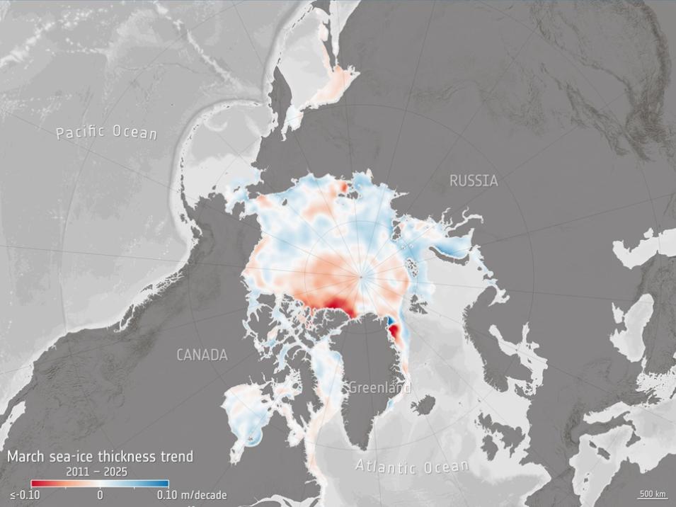 A map showing trends in sea ice thickness for the month of March during the years 2011 to 2025. 