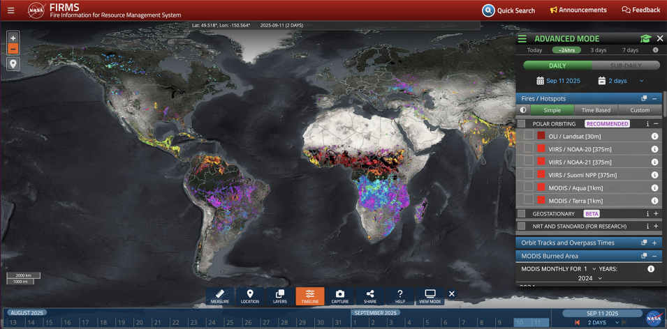 Monthly burned area for the MODIS and VIIRS products for 2024.