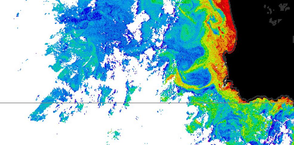 CZCS image of the southwest African coast