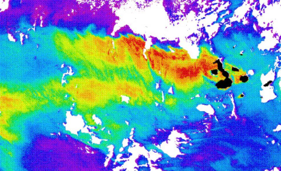 CZCS image of the high productivity plume near the Galapagos archipelago.