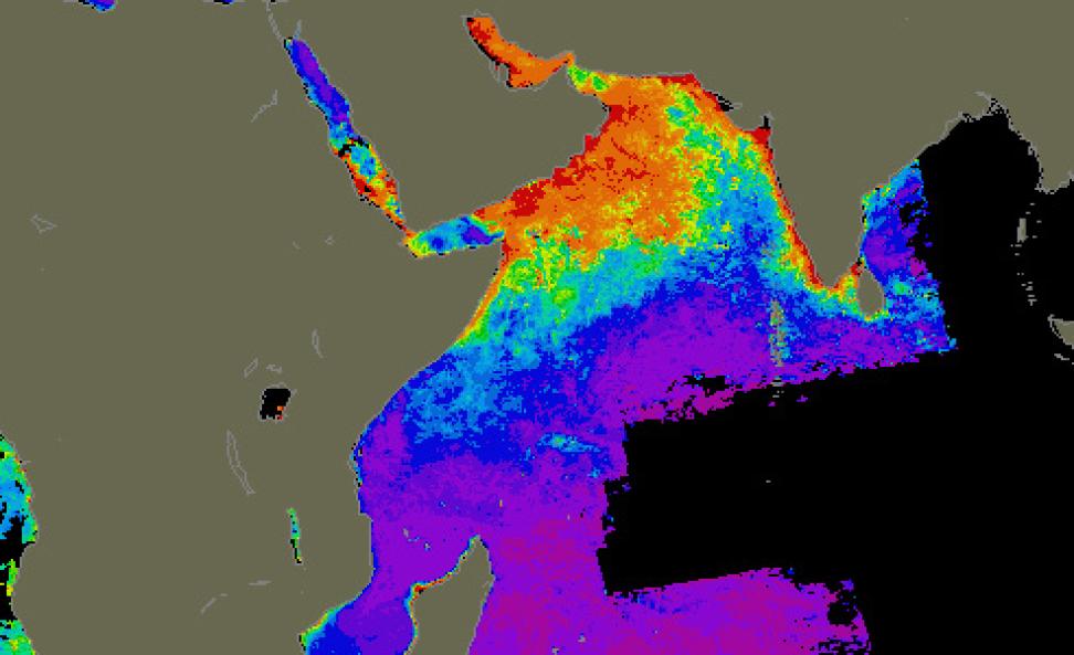 CZCS composite image of the Arabian Sea for July-September 1979.