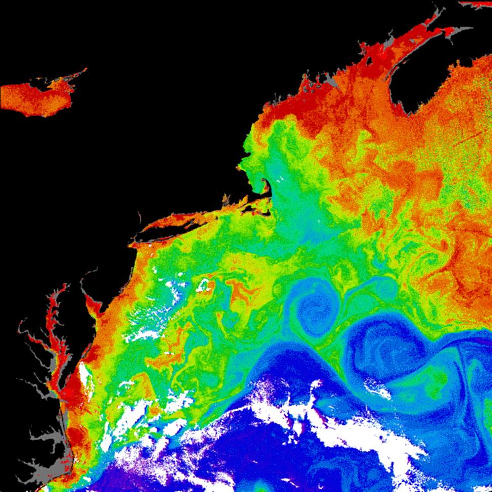 CZCS image of the Gulf Stream and northeastern coast of the United States.