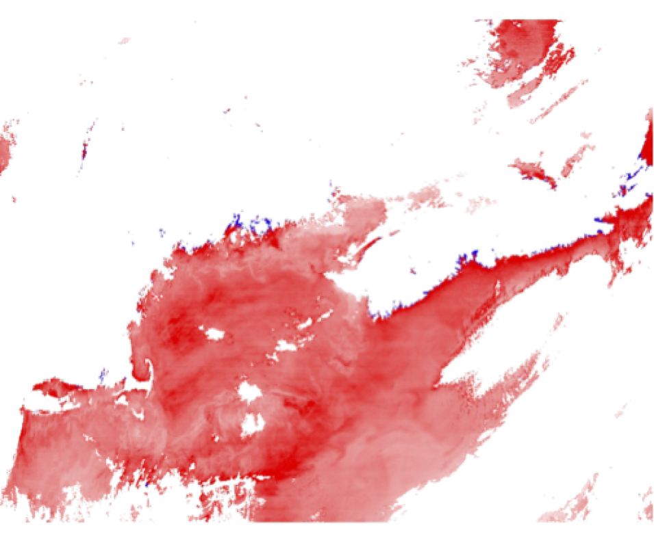 This image shows blotches of purple, white, pink, and red on a white background.