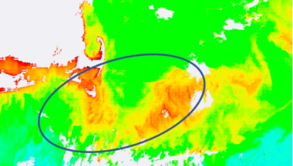 This is a multicolor image of Cape Cod on East Coast of Massachusetts. Land is primarily colored white while the ocean is largely bright green with plumes of red, yellow, white, and blue visible. An intense plume of yellow and red is circled in black ring.