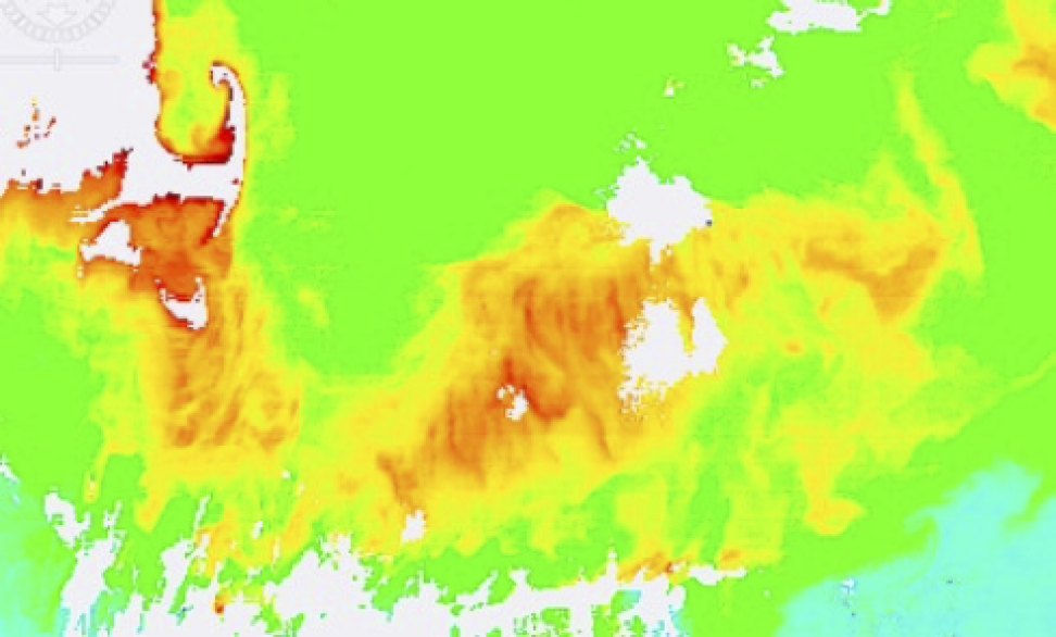 This is a multicolor image of Cape Cod on East Coast of Massachusetts. Land is primarily colored white while the ocean is largely bright green with plumes of red, yellow, white, and blue visible. 