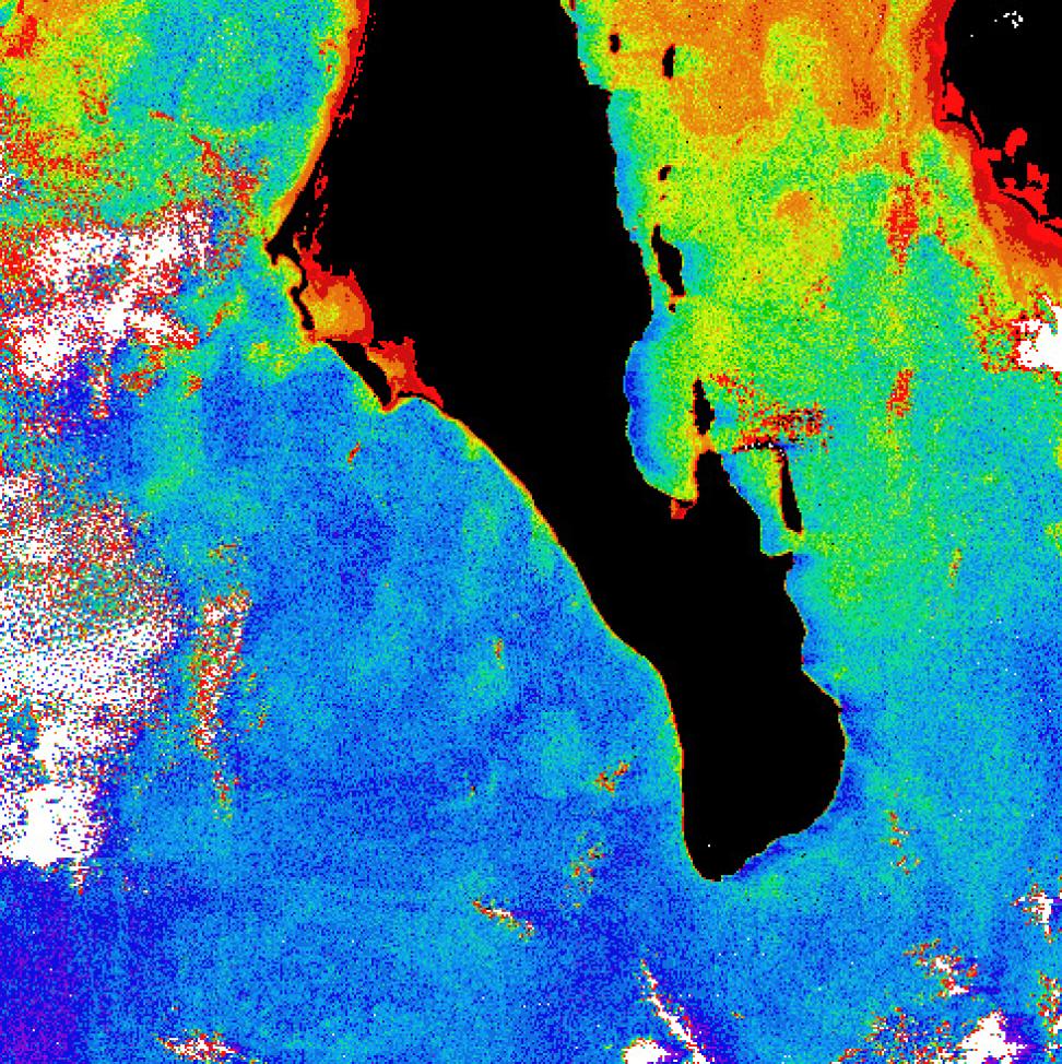 CZCS image of southern Baja California.