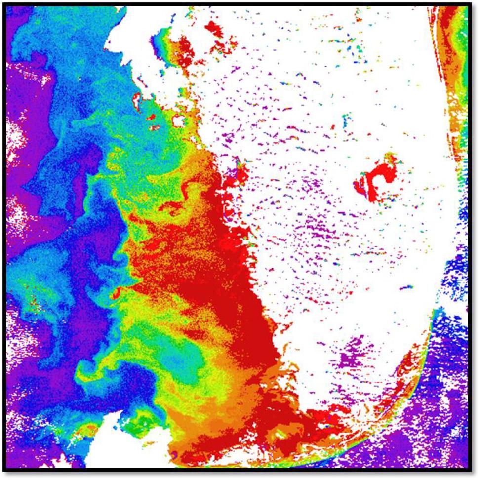 CZCS image showing a large bloom on the southwest Florida shelf.