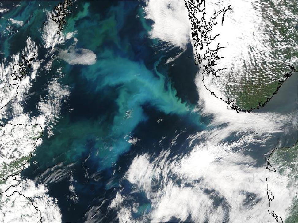 MODIS-Aqua image of a coccolithophorid bloom in the North Sea. Scotland is at left, southern Norway at top right, and Denmark at bottom right. 