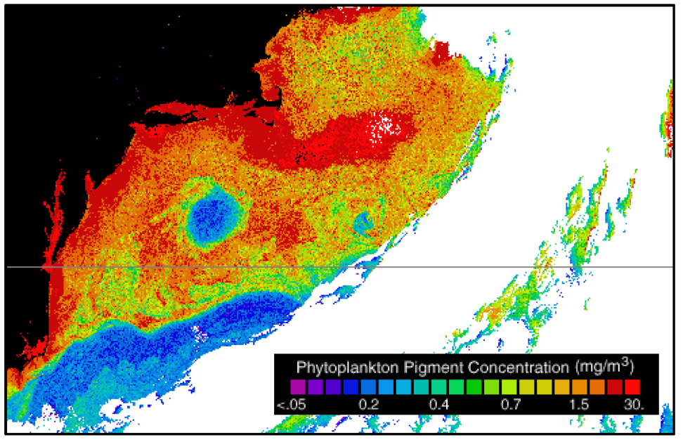 CZCS image of the Gulf Stream obtained on April 1, 1982, showing a prominent warm-core ring.