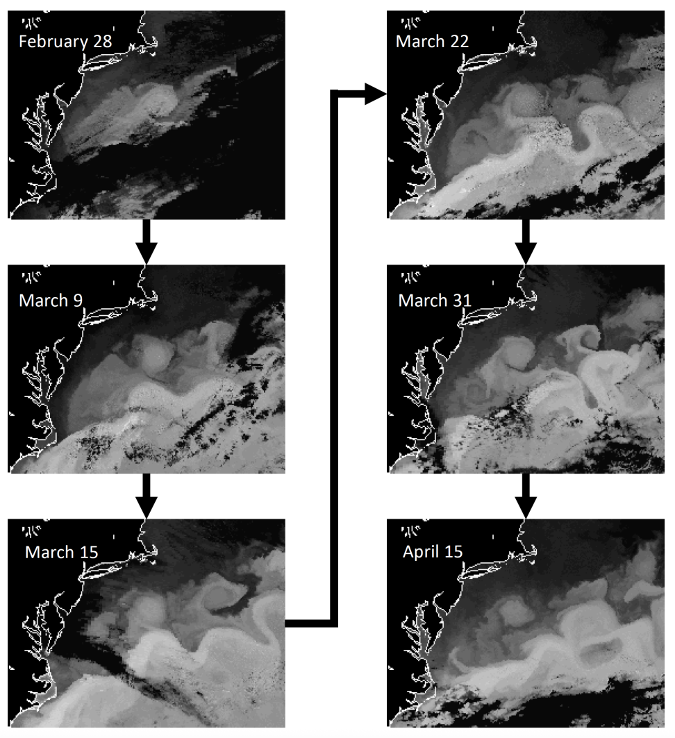 Sequence of images showing the rapid development of a cold-core ring south of the Gulf Stream.