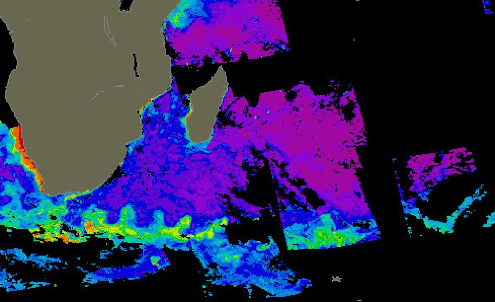 Composite CZCS image of the Agulhas Retroflection Region and southern Indian Ocean in February 1983.