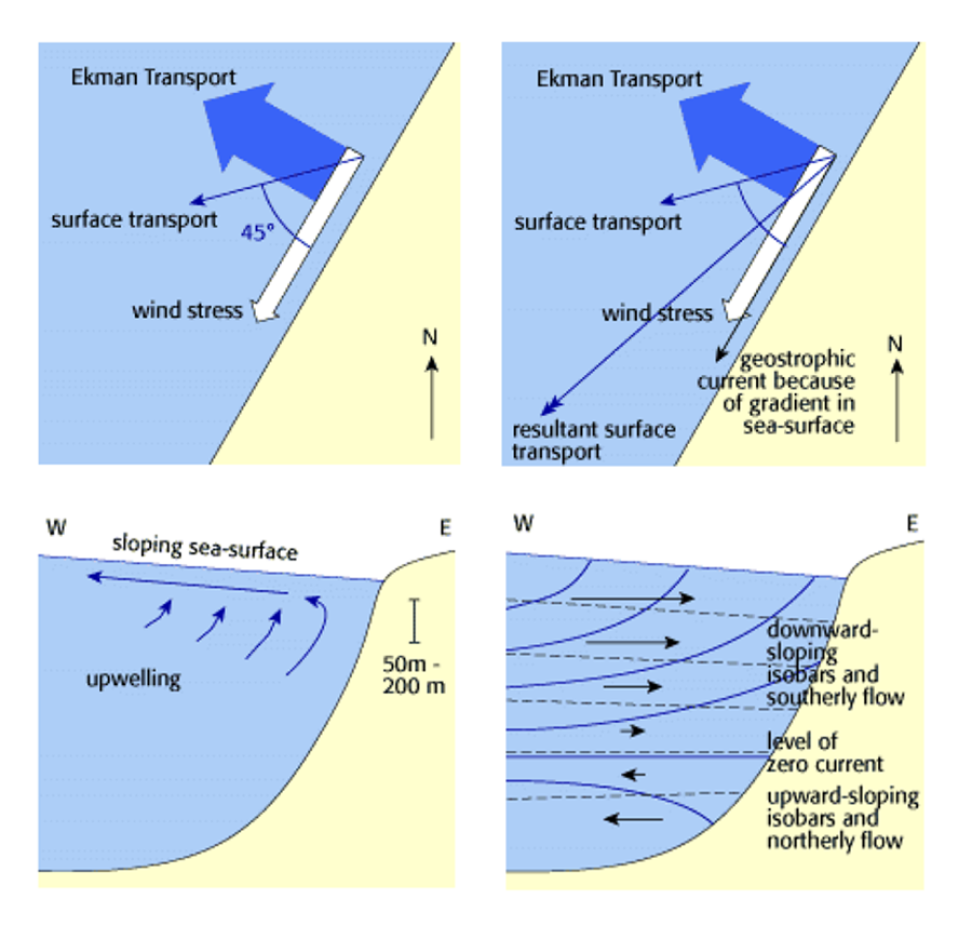 Ekman flow diagram