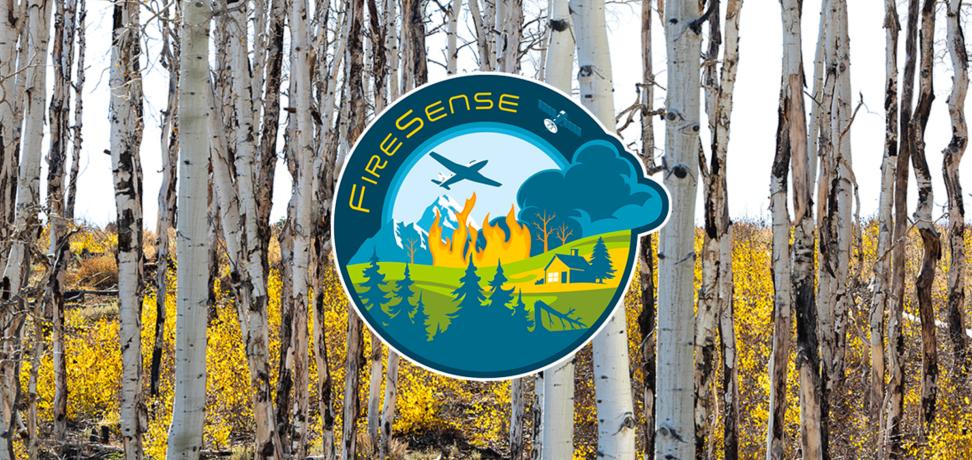 Firesense Project