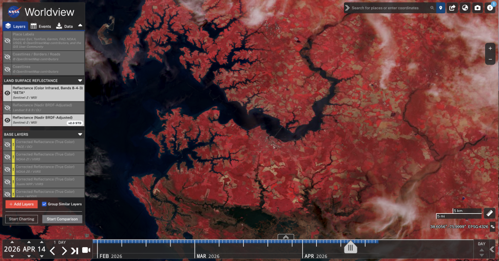 Screenshot of the Worldview application displaying step 10 of the customize HLS RGS imagery composites in Worldview tutorial showing a color infrared image of the area surrounding Cambridge, Maryland