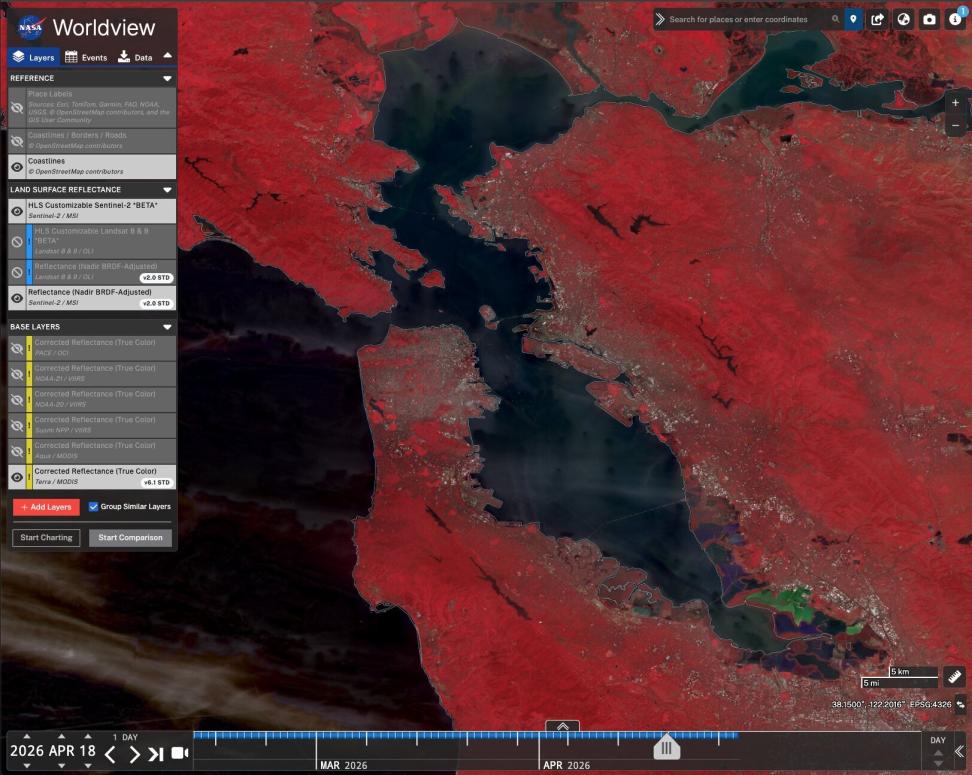 This HLS color-infrared composite image, generated via the TiTiler-CMR API in the Worldview application, shows the area around Cambridge, Maryland. 