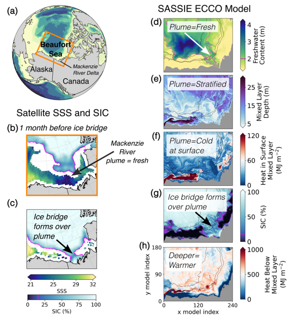 Details from the SASSIE ECCO model delineate the steps in sea freshening and ice bridge formation.
