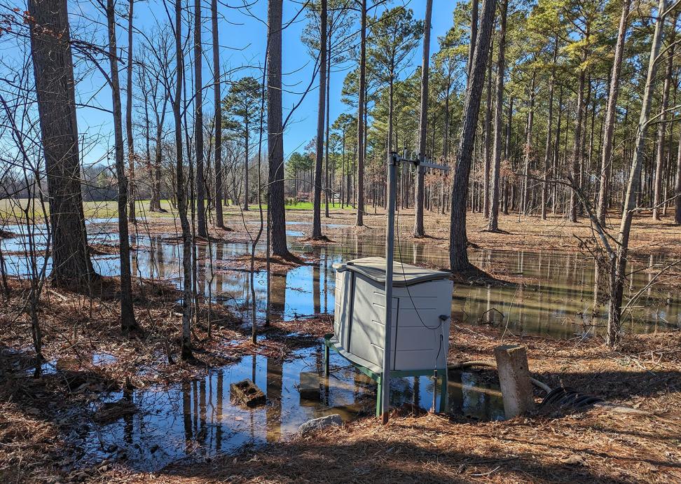 A forest of coniferious trees is growing in a flooded area with a blue sky above. In the foreground is a large plastic box on a raised platform containing sensors connected to a nearby external antenna.