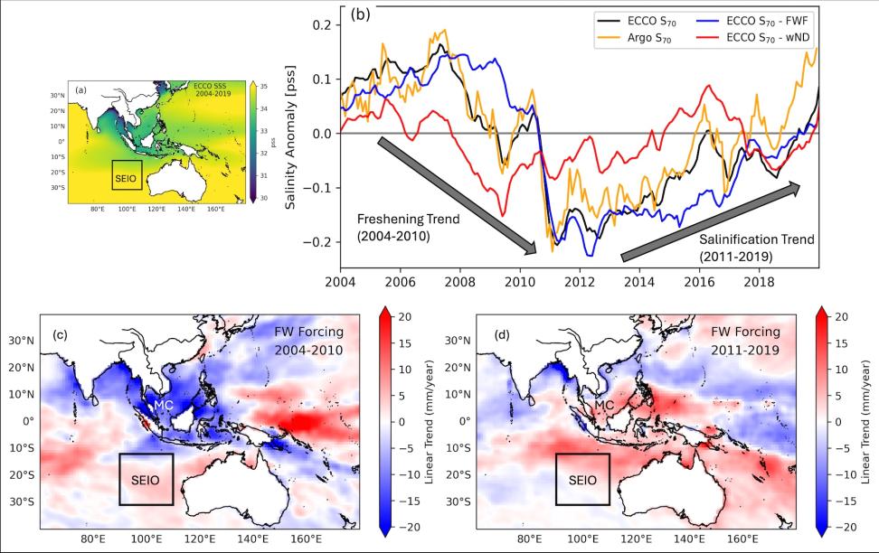 ECCO Model Reveals the Causes Behind Long-Term Changes in Salinity in the Southeast Indian Ocean