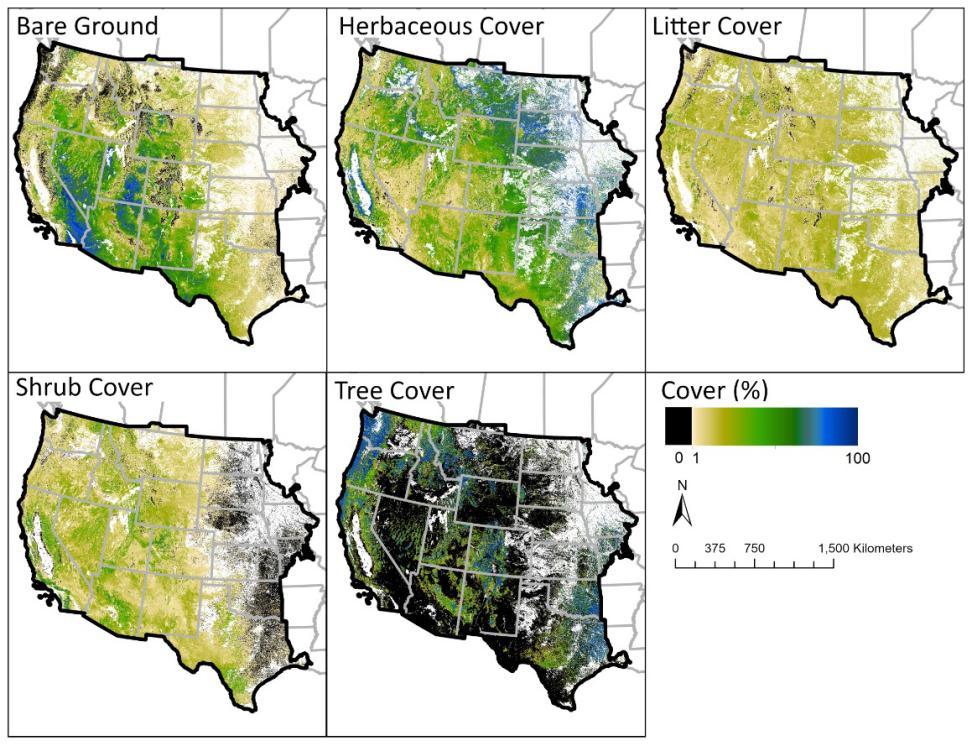 This image shows five versions of the same map of the western United States. Each map is colored to show the extent of a particular kind of ground cover. The versions are bare ground, herbaceous cover, litter cover, shrub cover, and tree cover. Each map is shaded from black to yellow to green to blue to represent the percent of cover.
