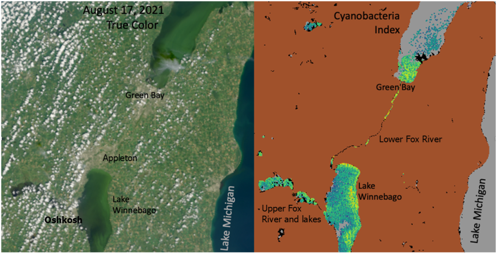 Natural color image and cyanobacteria data for Lake Winnebago