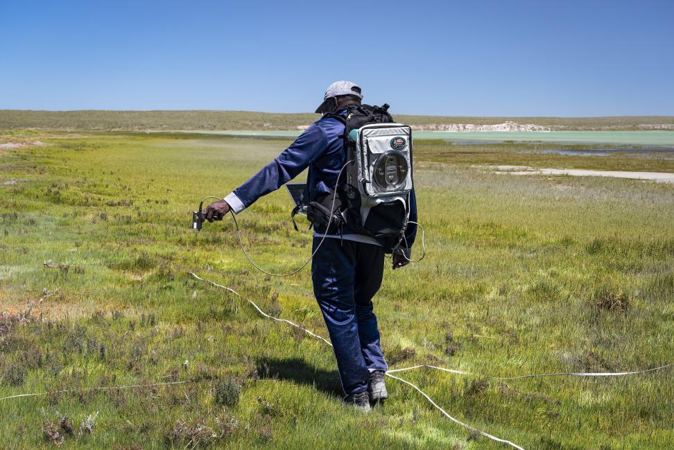 Image of a scientist collecting samples in the field