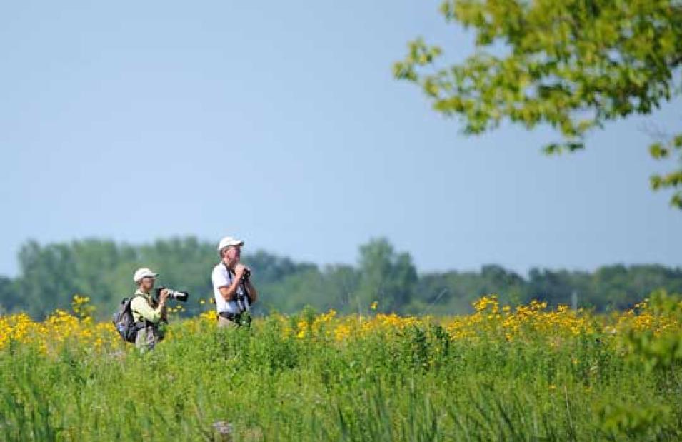 Photograph of bird watchers