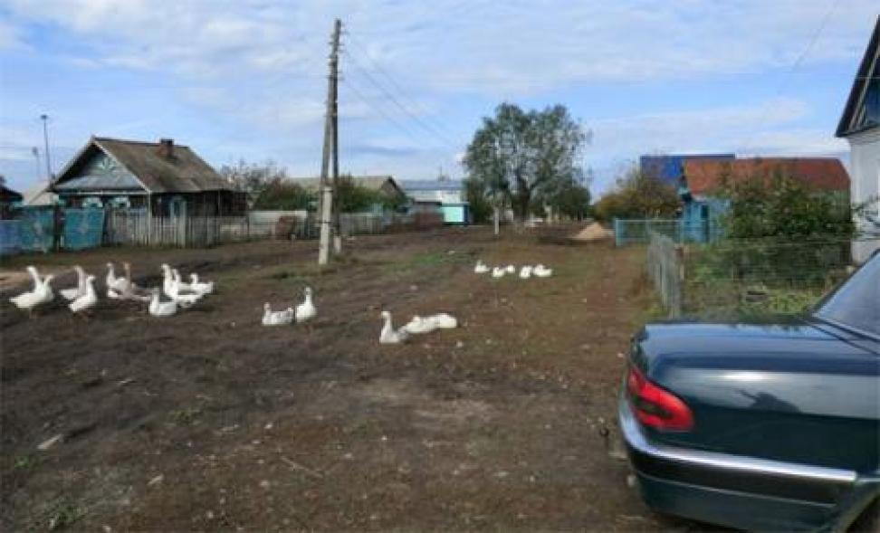 Photograph of a typical farm in the Samara region of Russia