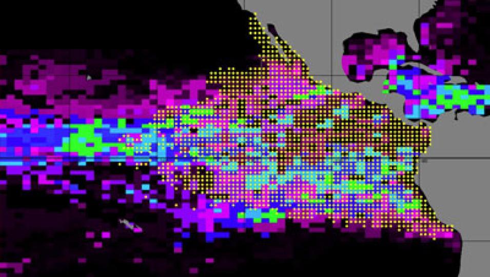 Data image showing skipjack tuna habitat
