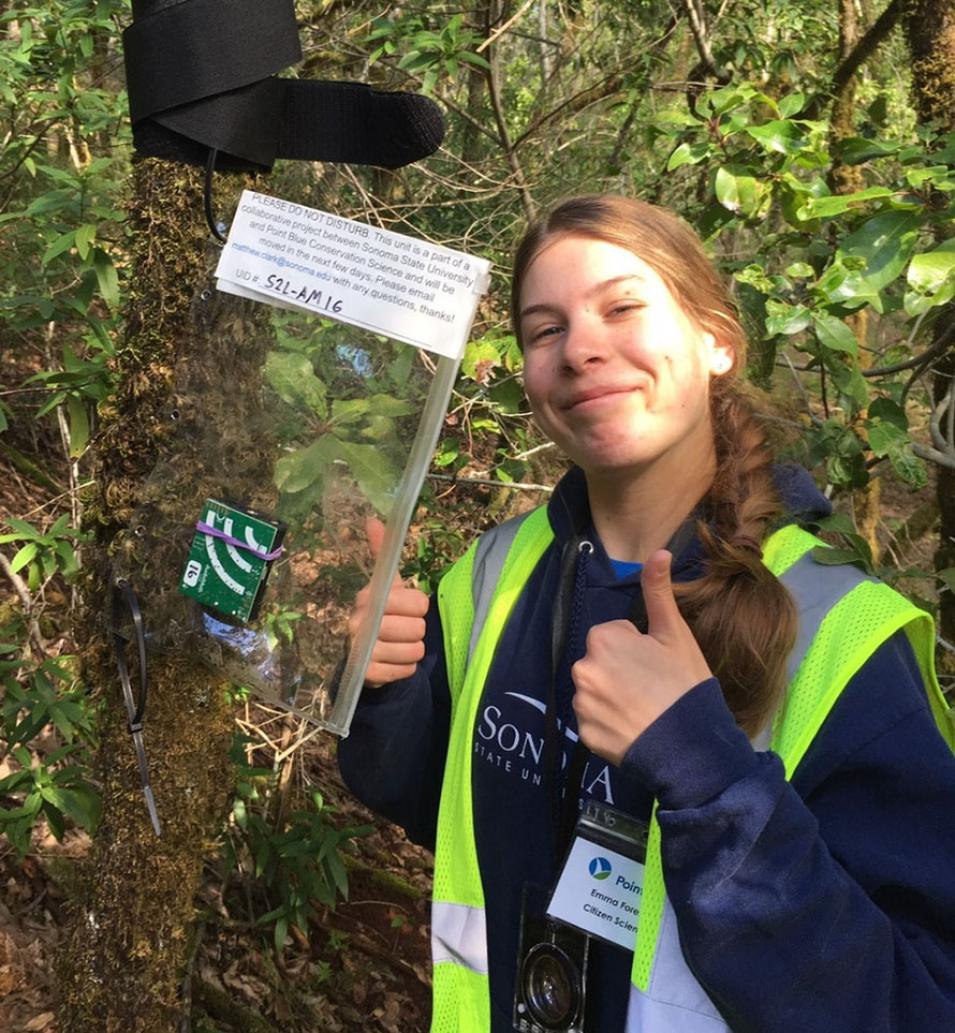 Photo of volunteer installing an AudioMoth recording device.