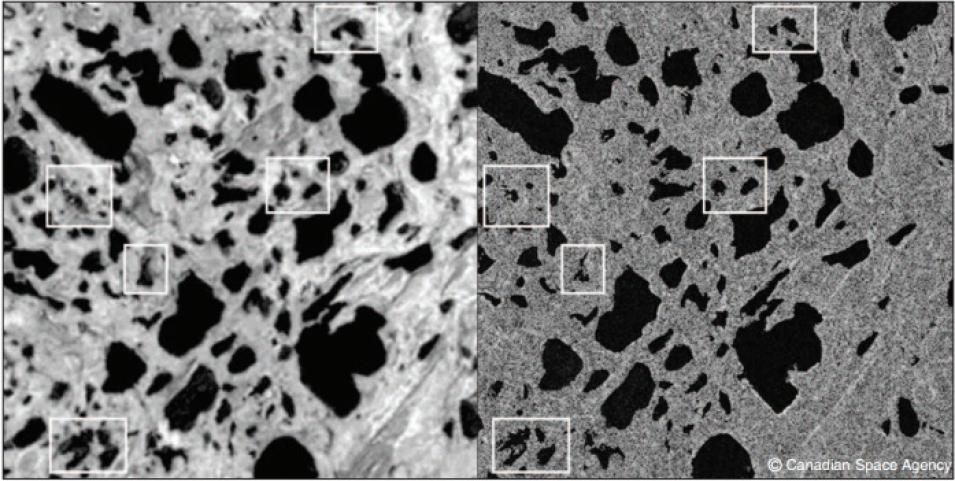 RADARSAT dry lakes