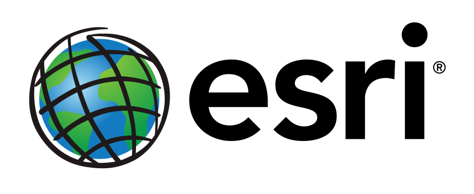 Stylized globe on left with the word esri in all lowercase black text on right.