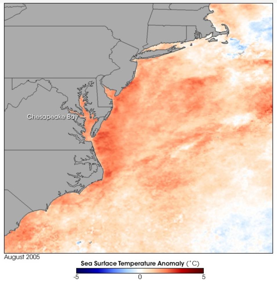 MODIS SST anomaly image