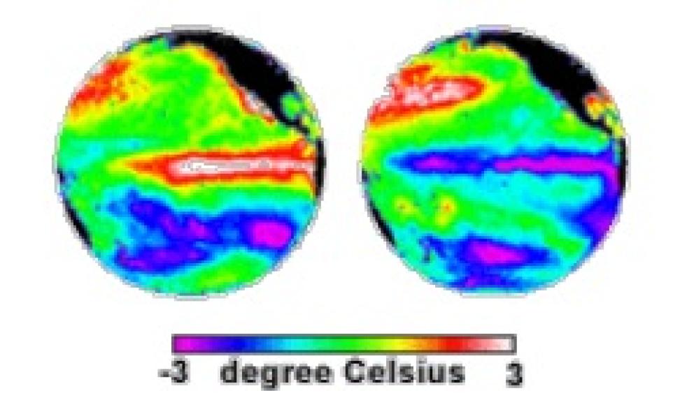 sea surface temperature anomalies