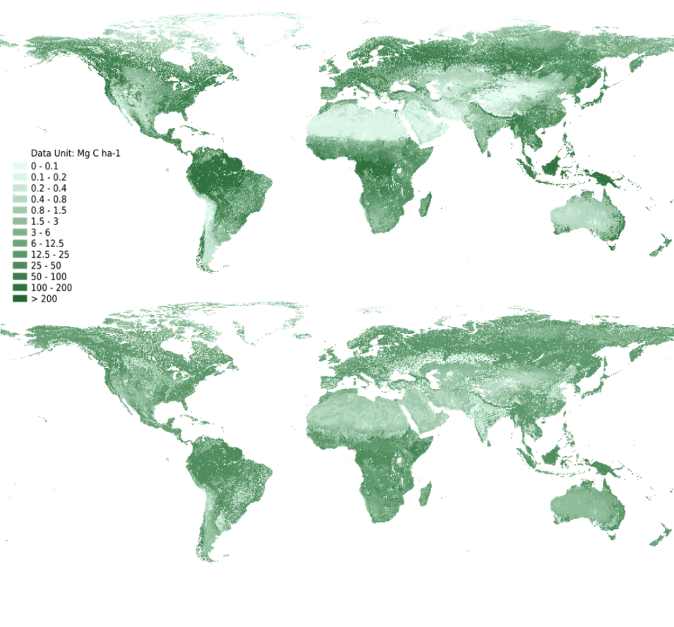 Maps showing of aboveground and belowground biomass.