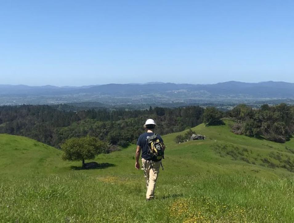 Sonoma landscape showing a man walking out to a field to place portable sound recorders.