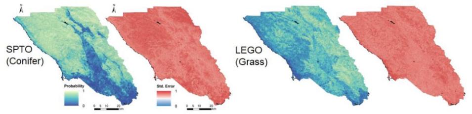 Diagram showing species distribution models (SDM) for two bird species.