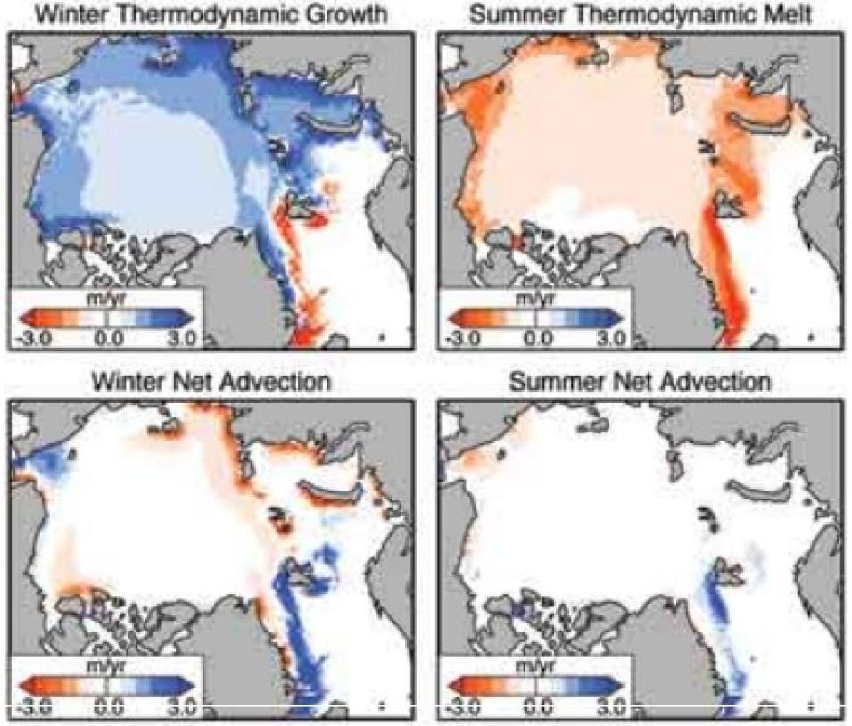 Arctic sea ice