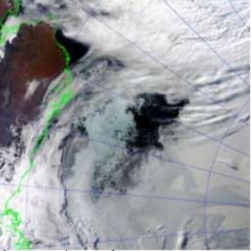 MODIS open water ice