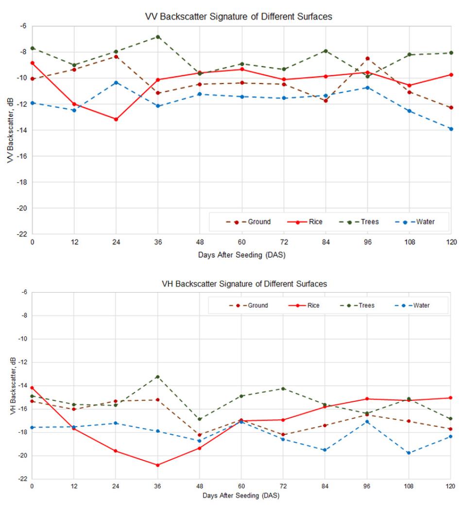 Graphs showing different backscattering for ricefields and other types of land cover