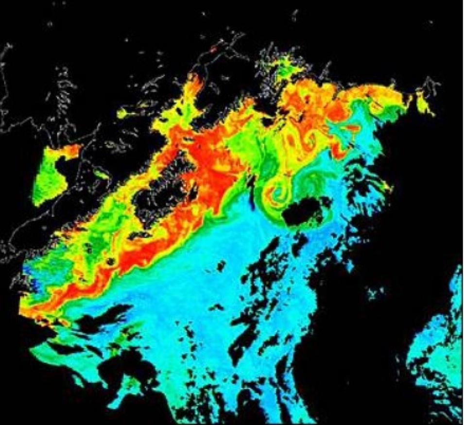 SeaWiFS phytoplankton