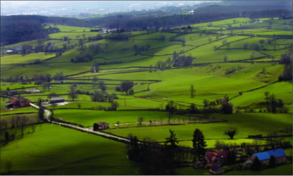 Roman roads in Burgundy landscape