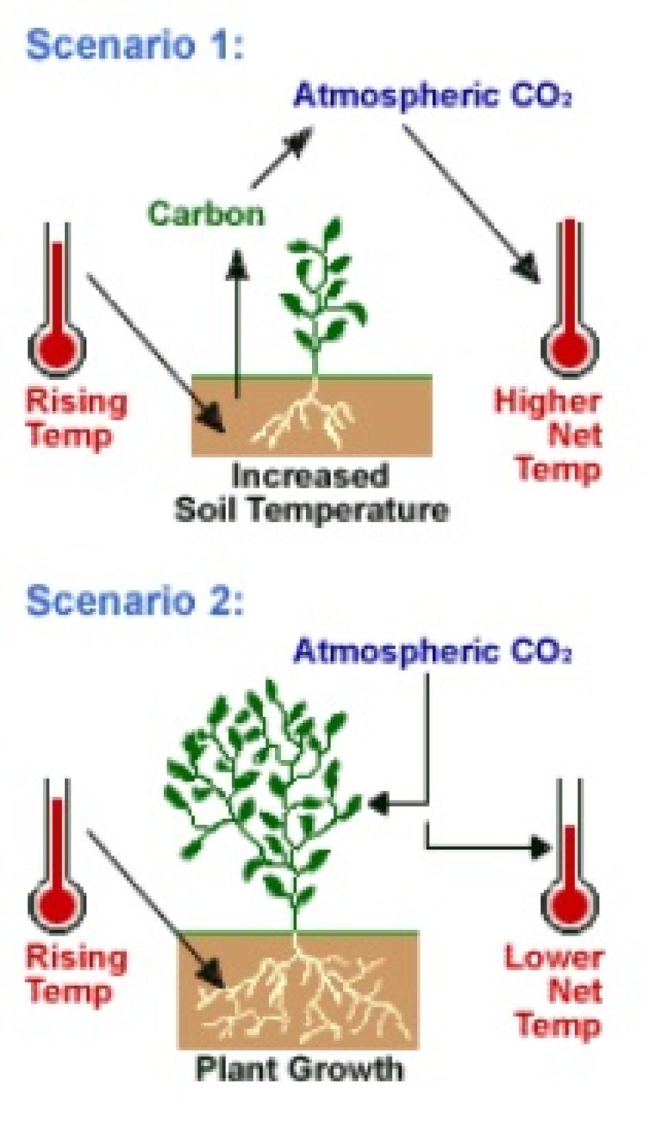 atmospheric CO2