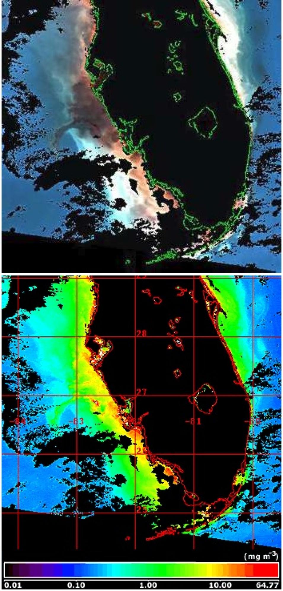 SeaWiFS Florida coast red tide