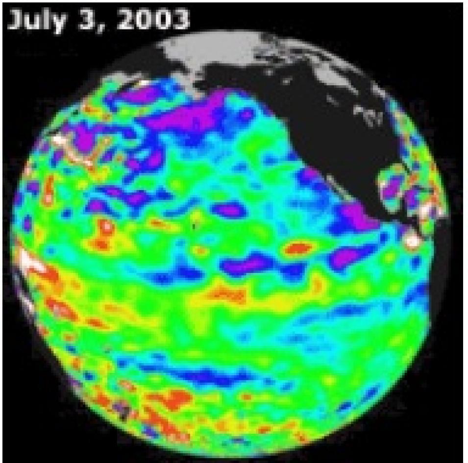 Jason-1 sea surface height
